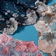 embroidery net lace fabric